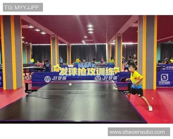 武汉乒乓球队实力解析：深度剖析队员表现与训练体系的成功之道