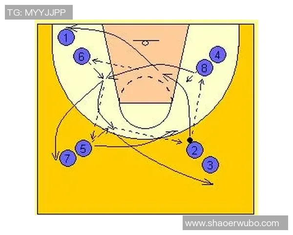 深圳篮球队的整体压制策略解析与深度剖析篮球战术的成功之道